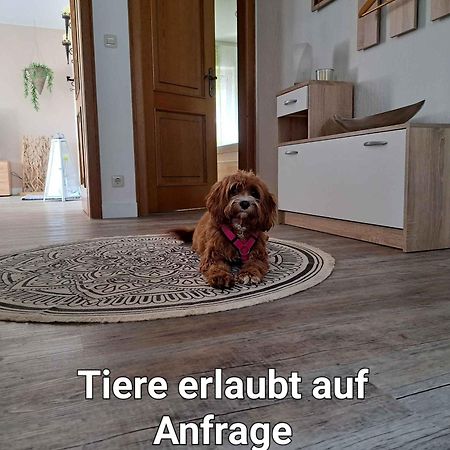 Ferienwohnung Blumenau シュマレンベルク エクステリア 写真