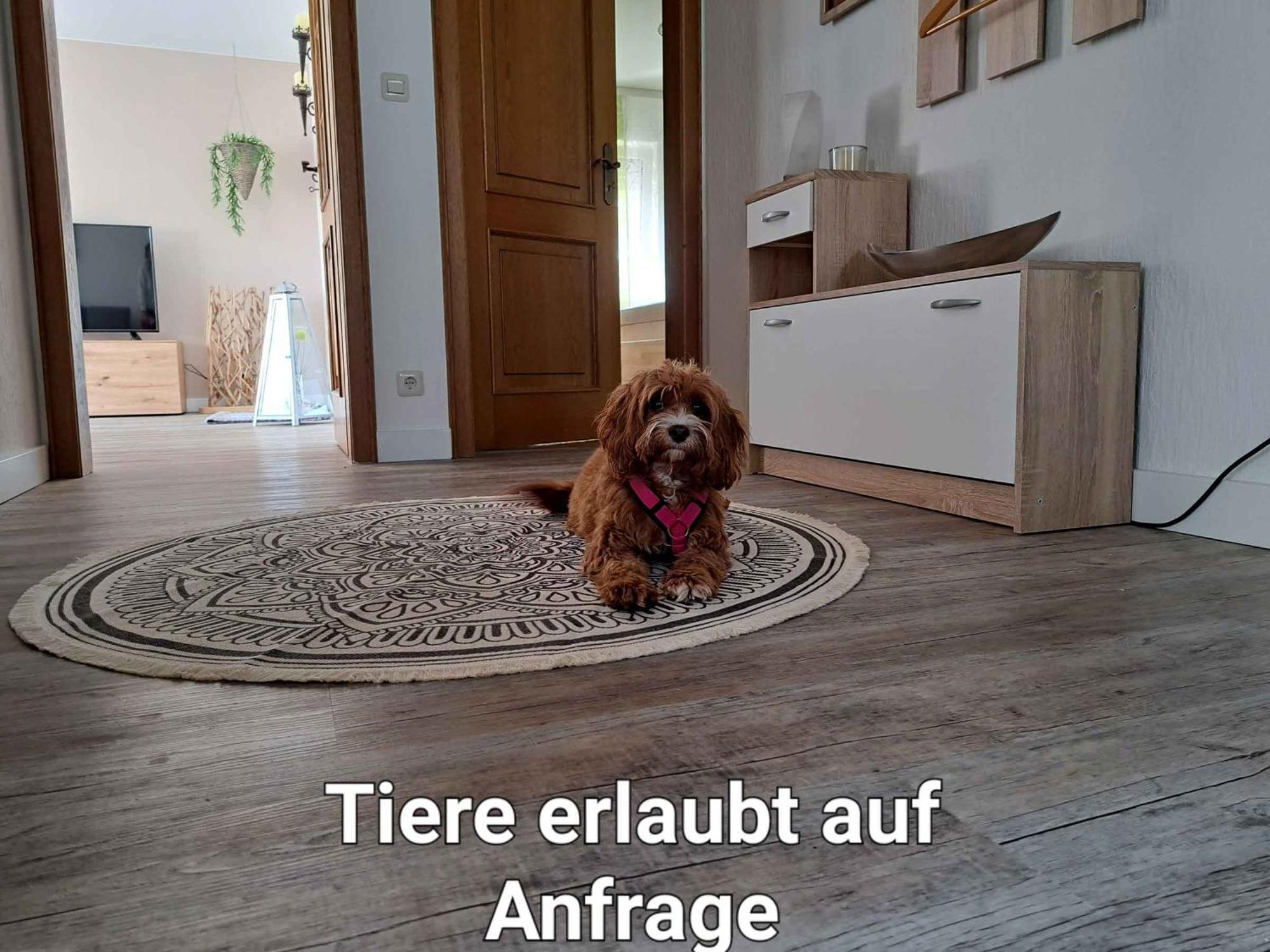 Ferienwohnung Blumenau シュマレンベルク エクステリア 写真